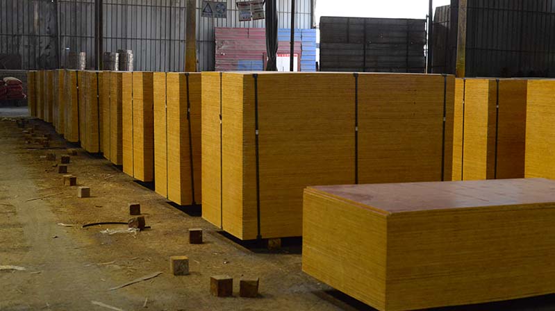 出口桉木贵港建筑模板生产厂家